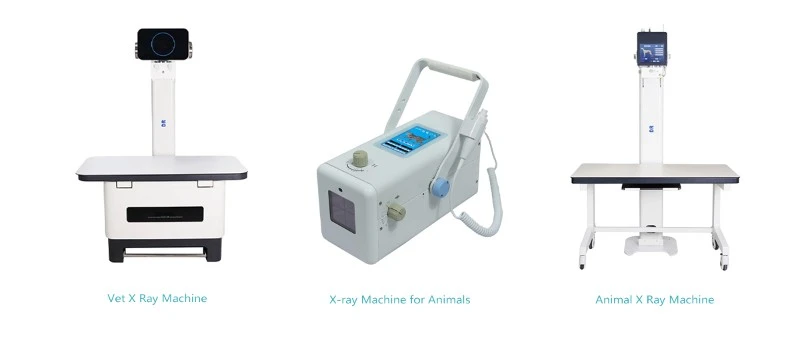 X Ray Machine X Ray Machine